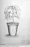  no thumbnail available (2)