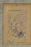  no thumbnail available (2)