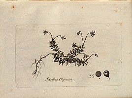  no thumbnail available (2)