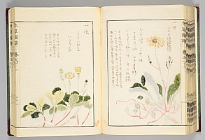  no thumbnail available (2)