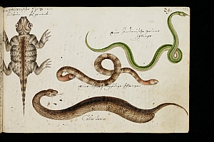  no thumbnail available (2)