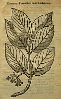  no thumbnail available (2)