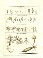  no thumbnail available (2)