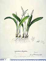  no thumbnail available (2)